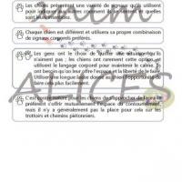 Communication silencieuse 2 p60