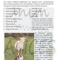 Communication silencieuse 2 p72